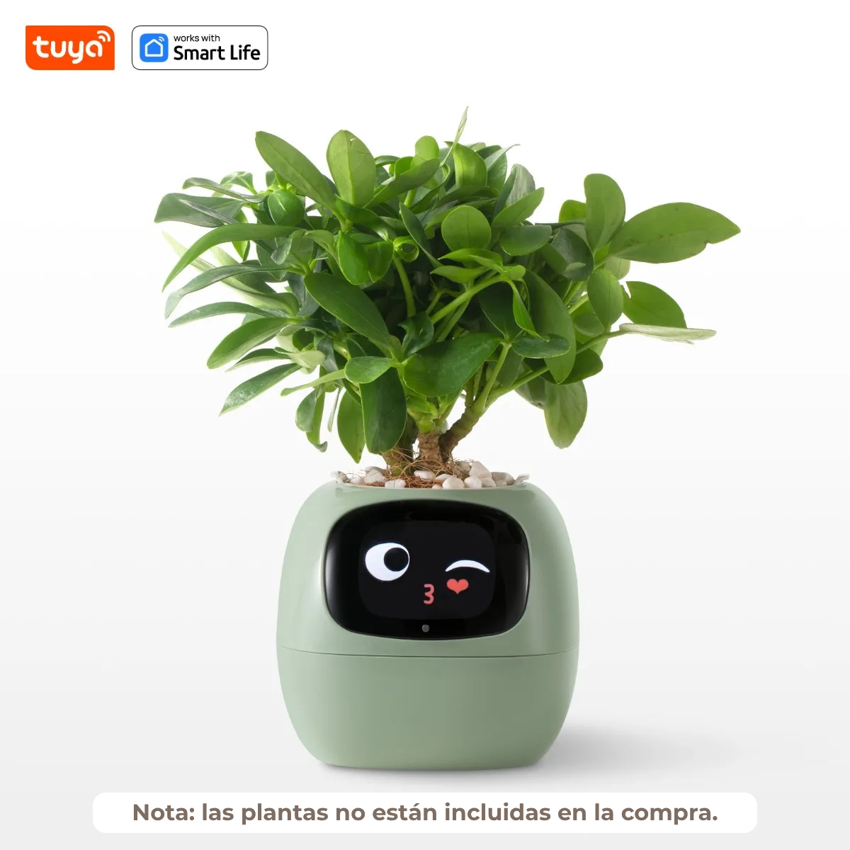 IvyPet® - Maceta Inteligente
