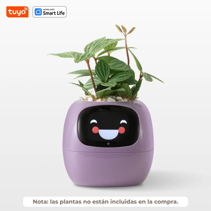 IvyPet® - Maceta Inteligente