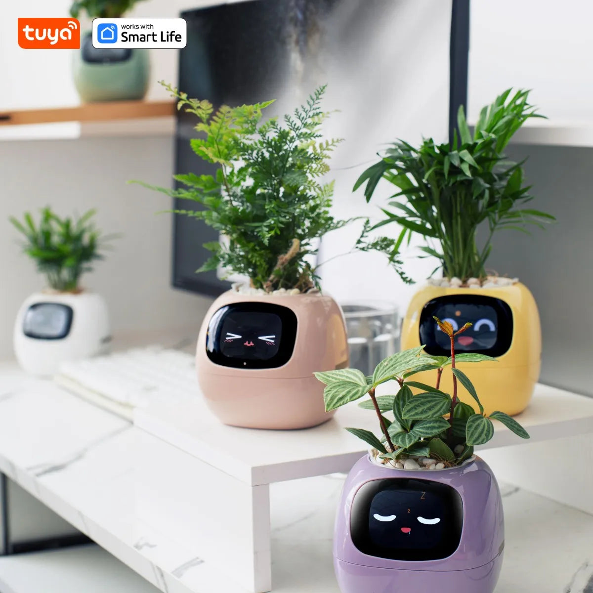 IvyPet® - Maceta Inteligente