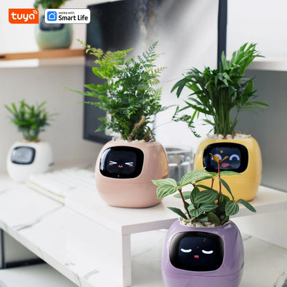IvyPet® - Maceta Inteligente