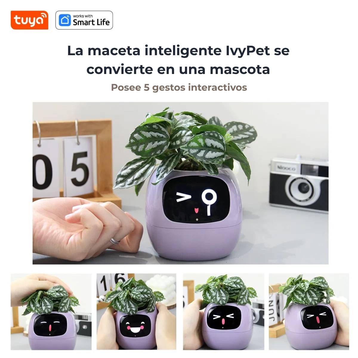 IvyPet® - Maceta Inteligente