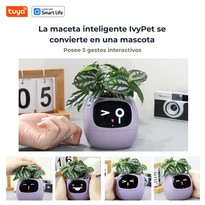 IvyPet® - Maceta Inteligente