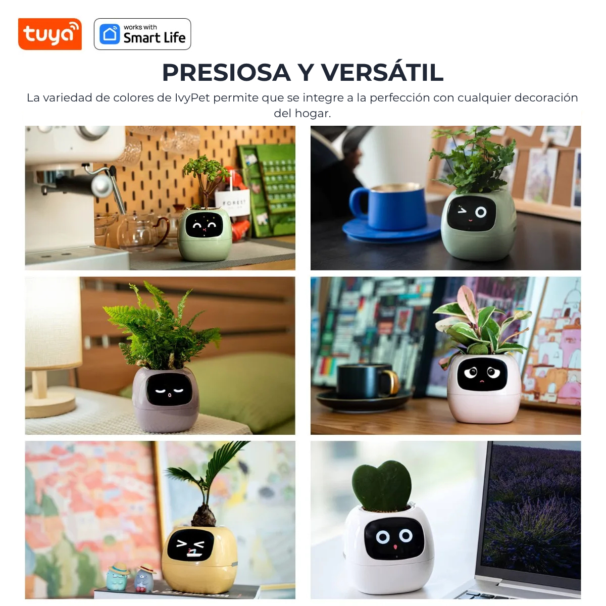 IvyPet® - Maceta Inteligente