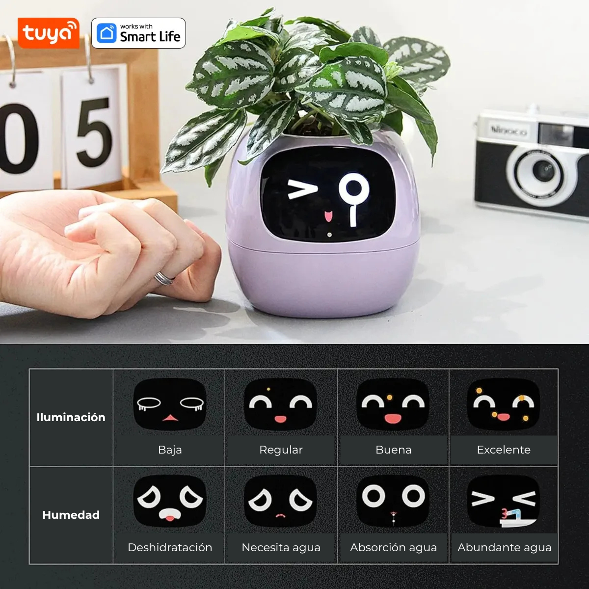 IvyPet® - Maceta Inteligente