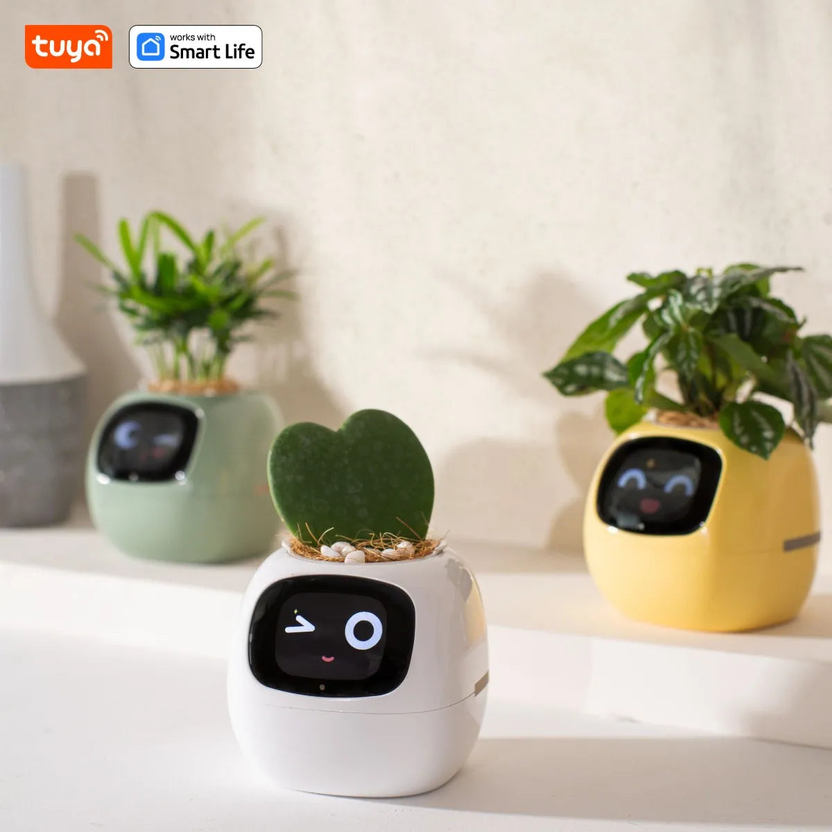 IvyPet® - Maceta Inteligente